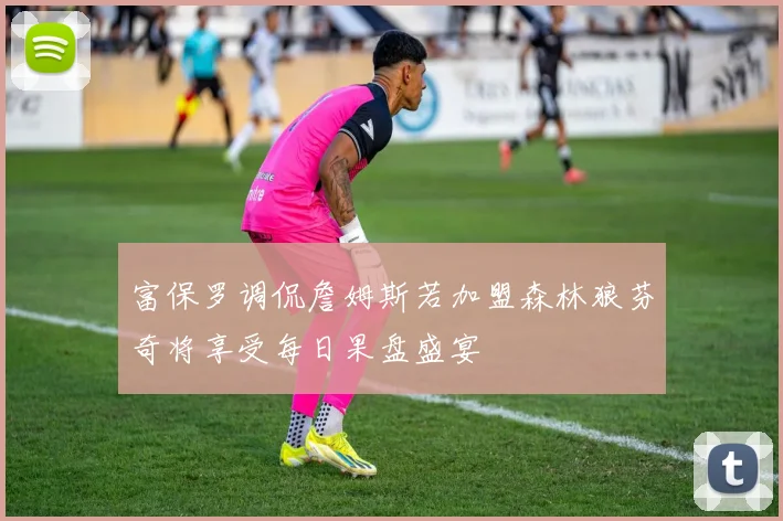 富保罗调侃詹姆斯若加盟森林狼芬奇将享受每日果盘盛宴