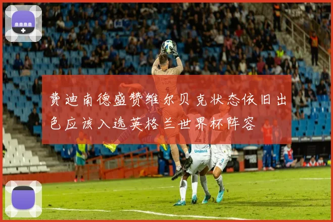 费迪南德盛赞维尔贝克状态依旧出色应该入选英格兰世界杯阵容