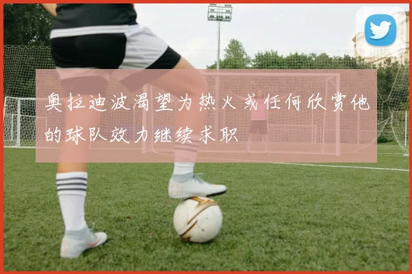 奥拉迪波渴望为热火或任何欣赏他的球队效力继续求职