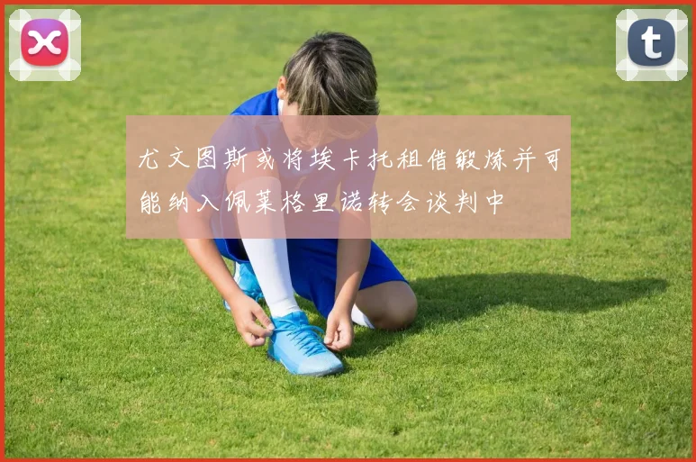 尤文图斯或将埃卡托租借锻炼并可能纳入佩莱格里诺转会谈判中
